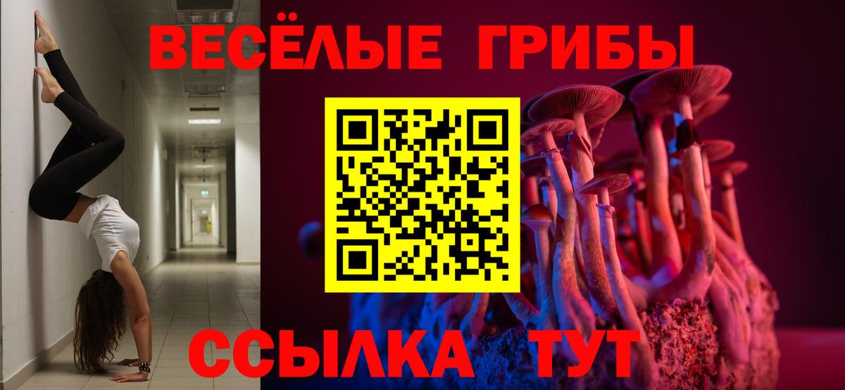 Псилоцибиновые грибы Cubensis  Вход с VPN  Волжский 