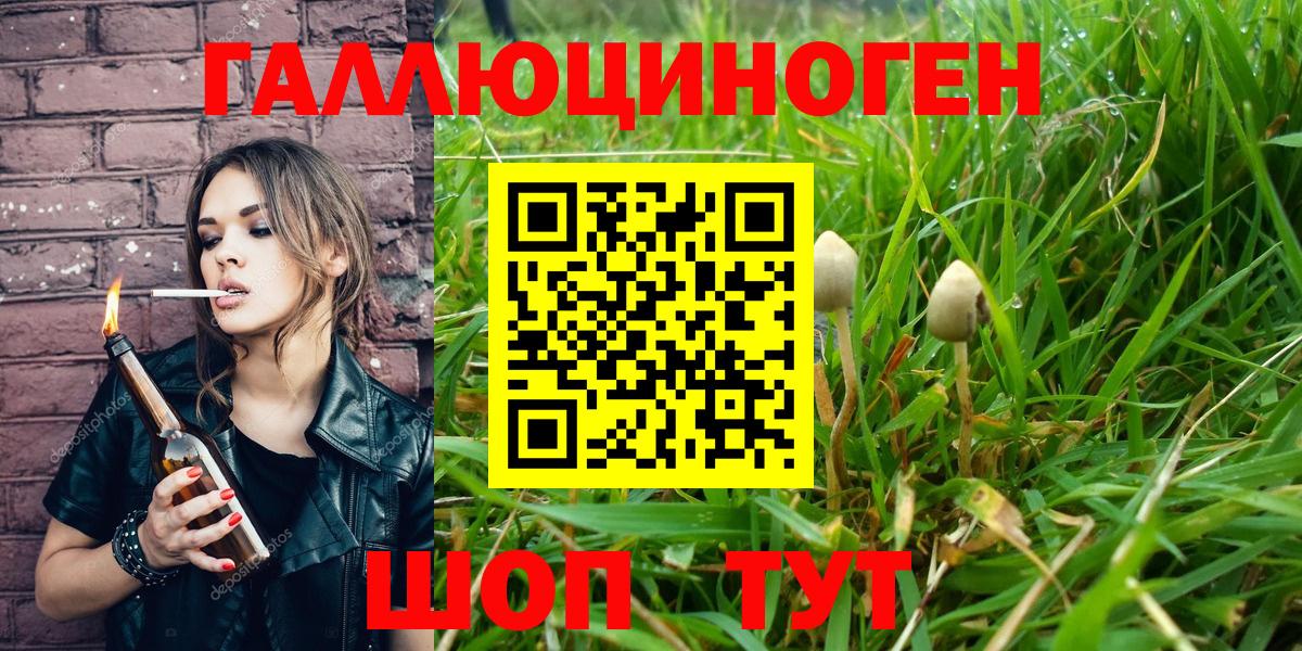 Псилоцибиновые грибы Psilocybe Волжский