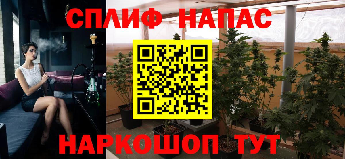 Каннабис MAZAR Волжский
